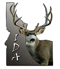 IDA logo