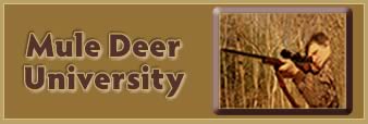 Mule Deer Univ